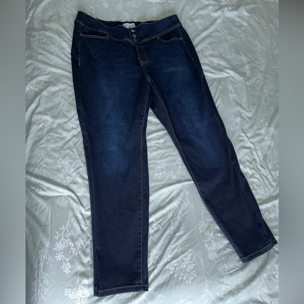 Lane Bryant High Rise Jegging Dark wash